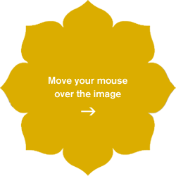 Move your mouse over the image