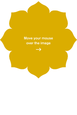 Move your mouse over the image