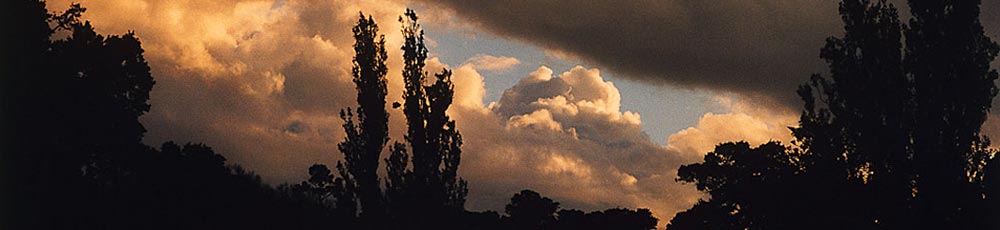 bill henson