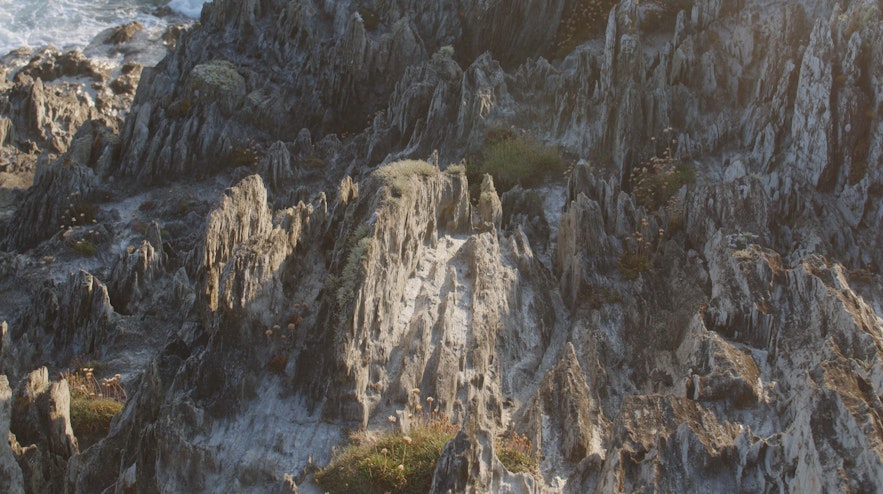 Craggy coastal cliffs with flowers growing along ridges.
